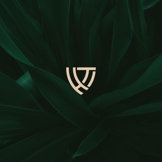 Impeka - Premium WordPress Multipurpose theme by Greatives